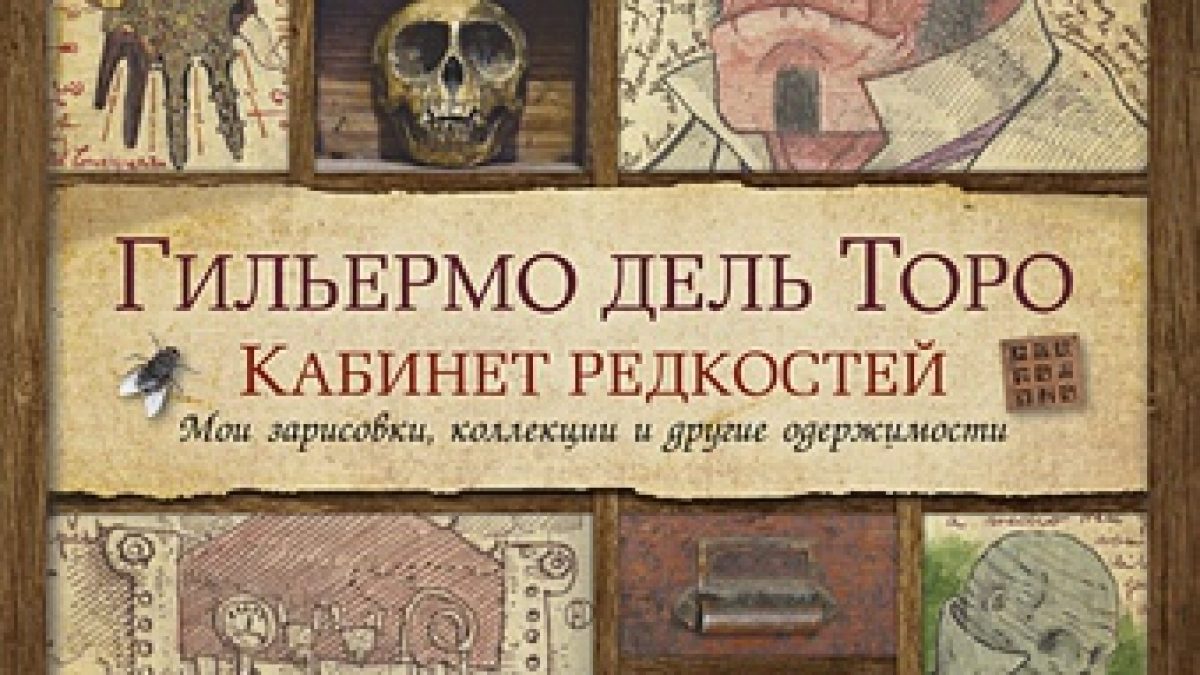 Кабинет редкостей. Мои зарисовки, коллекции и другие одержимости •  BOOK.LAND • Купить книги с бюджетной доставкой по России и миру