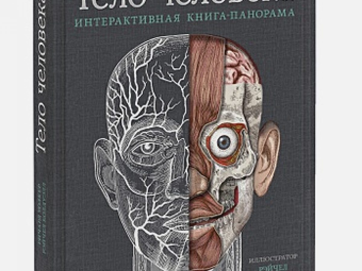 Тело человека. Интерактивная книга-панорама • BOOK.LAND • Купить книги с  бюджетной доставкой по России и миру